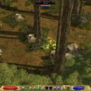 아라곤충 이미지