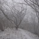 한재골 주차장 이미지