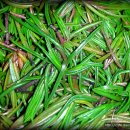 바람아래민박 이미지