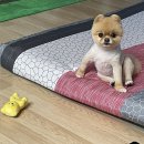 선경카프라자 이미지