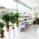 양지프리미엄셀프세차 이미지