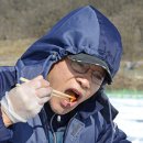 은빛 고운 호수의 요정을 만나다,안성빙어축제 이미지