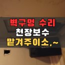 사하소방서 | 부산 벽수리 천장 구멍 보수 고양이 구조 후 복원작업
