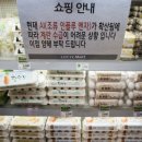 대한계란유통 이미지