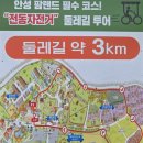 안성자연유치원 | 《안성》 가을에 가기좋은곳 핑크뮬리,코스모스 가득한 안성팜랜드 (ft. 입장권 할인)