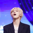 니피 이미지