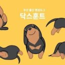 펫 친구 이미지