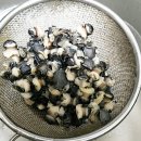 복자농장 이미지