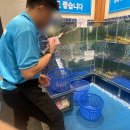 푸꾸옥 블루씨푸드레스토랑(즈엉동야시장, 해산물추천, 크레피쉬, 내돈내산, 솔직후기)