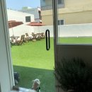 오파프부산 이미지