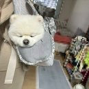 베베파우 - 김포시 양곡4로 84 | 베베파우