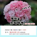 제라마켓