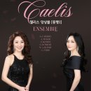 아리아 Ⅰ 이미지