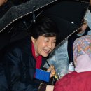 충남야채 이미지