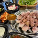 돈돼지먹어봐 | 제주 성산일출봉 맛집 : 연탄 흑돼지와 김치찌개 ‘열정돈’