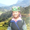 [열대과일19] Longan ＜용안＞ 이미지