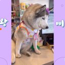 오구오구내새끼 이미지