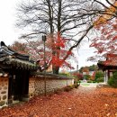 무등산 충장사(忠壯祠) 단풍 이미지