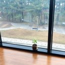 더 티(the T) 이미지