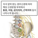 참온한의원 이미지