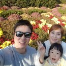 세인펜션 이미지