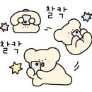 애니카랜드 서세종점 이미지
