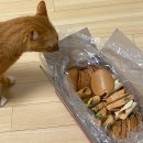옛 추억의 맛 우리간식 정다운식품 고급종합전병