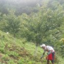 채호농장 이미지