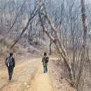 [260305/니키타리딩] 수리산둘레길 봄맞이 힐링걷기... 이미지