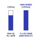 더스포츠에센셜 MSM 비타민 C D 고함량 영양제 후기