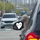 뮤지컬 명성황후 / 용인 포은아트홀 / 1열 시야 후기 / 인터파크 예매대기