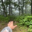 산림생태문화체험단지 네이버블로그