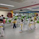 KTIGERS 태동태권도장 이미지