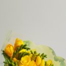 후리지아 이미지