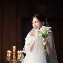스탠포드호텔코리아(주) 스탠포드호텔서울 | 상암동 스탠포드호텔 본식스냅 [나인포토스냅] 호텔/결혼식/사진/후기
