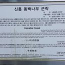 신흥2리 복지타운 네이버블로그