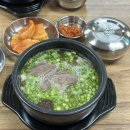 여울미나리 이미지
