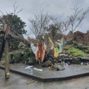 월평다라쿳당 이미지