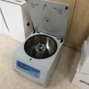 H1850 네이버블로그
