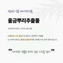 선샤인랩 네이버블로그