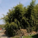 무성공인중개사사무소 이미지