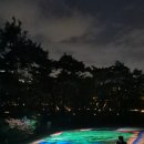 연화 이미지