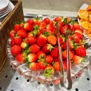 살롱드피쉬 | [내돈내산] 애슐리 딸기축제2026 꿀팁 다산점 후기 🍓 🍓 🍓