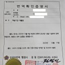 미르 행정사사무소 이미지