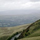 좋아 좋아 PC 이미지