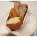 씨트루스 이미지