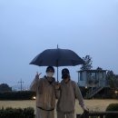 별장서홍 이미지