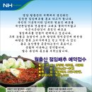 절임 배추 !!(서호면,성재리,시종면) 이미지