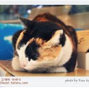 구리수퍼 이미지