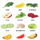루틴(ROOTIN)